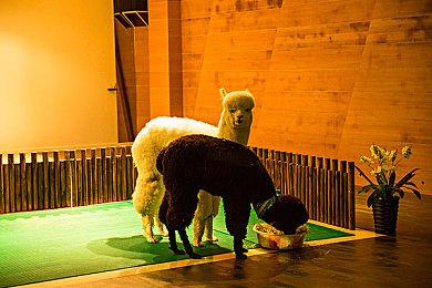 《霍格沃兹之遗》“振奋药剂”制作介绍 2月10日发售